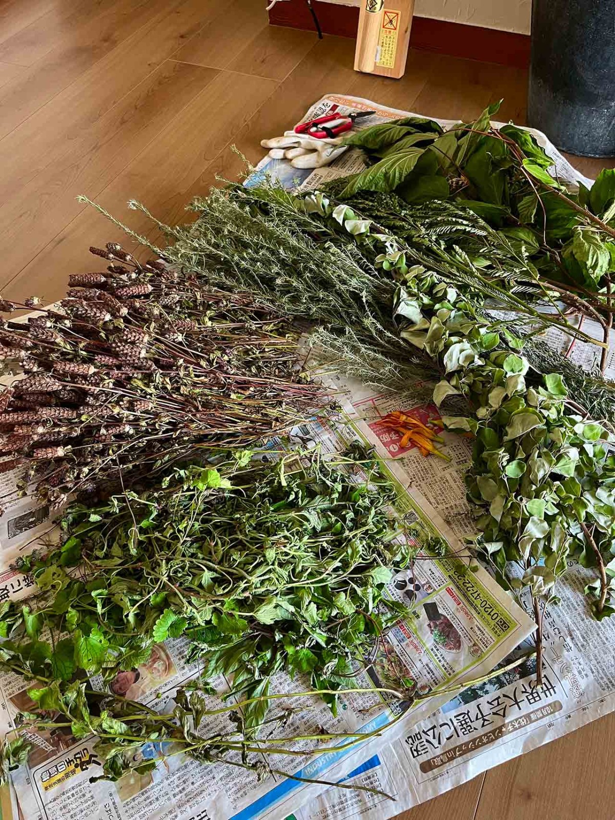 島根県出雲市にオープンしたカフェ『和herb cafe&lab 8mon』のハーブ