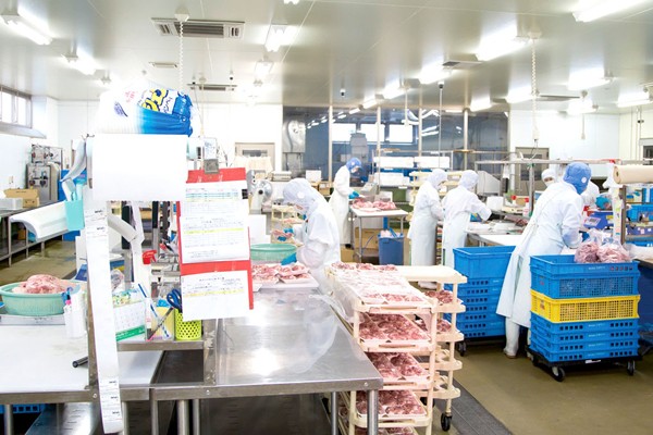 カタセイの求人募集用の画像