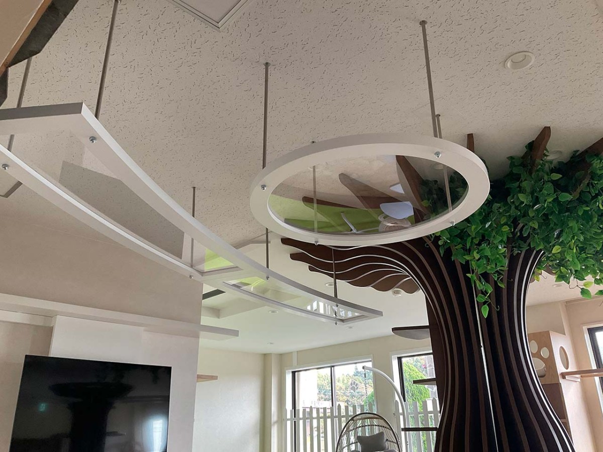 島根県松江市にオープンした『猫猫の森』の内観