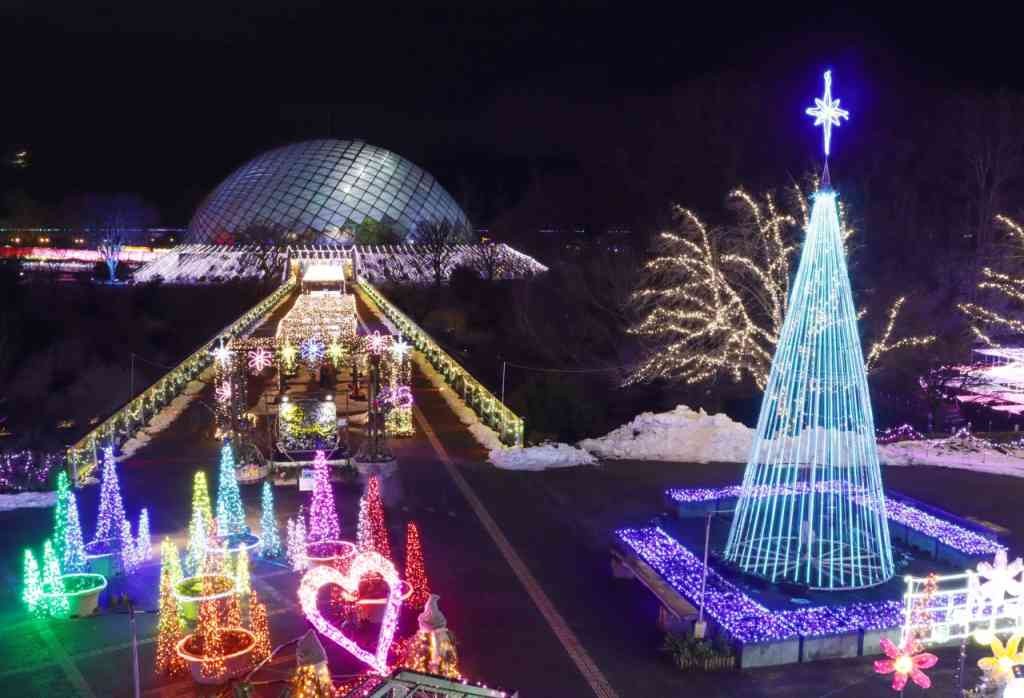 鳥取県西伯郡南部町のイベント「フラワーイルミネーション2025」のイメージ