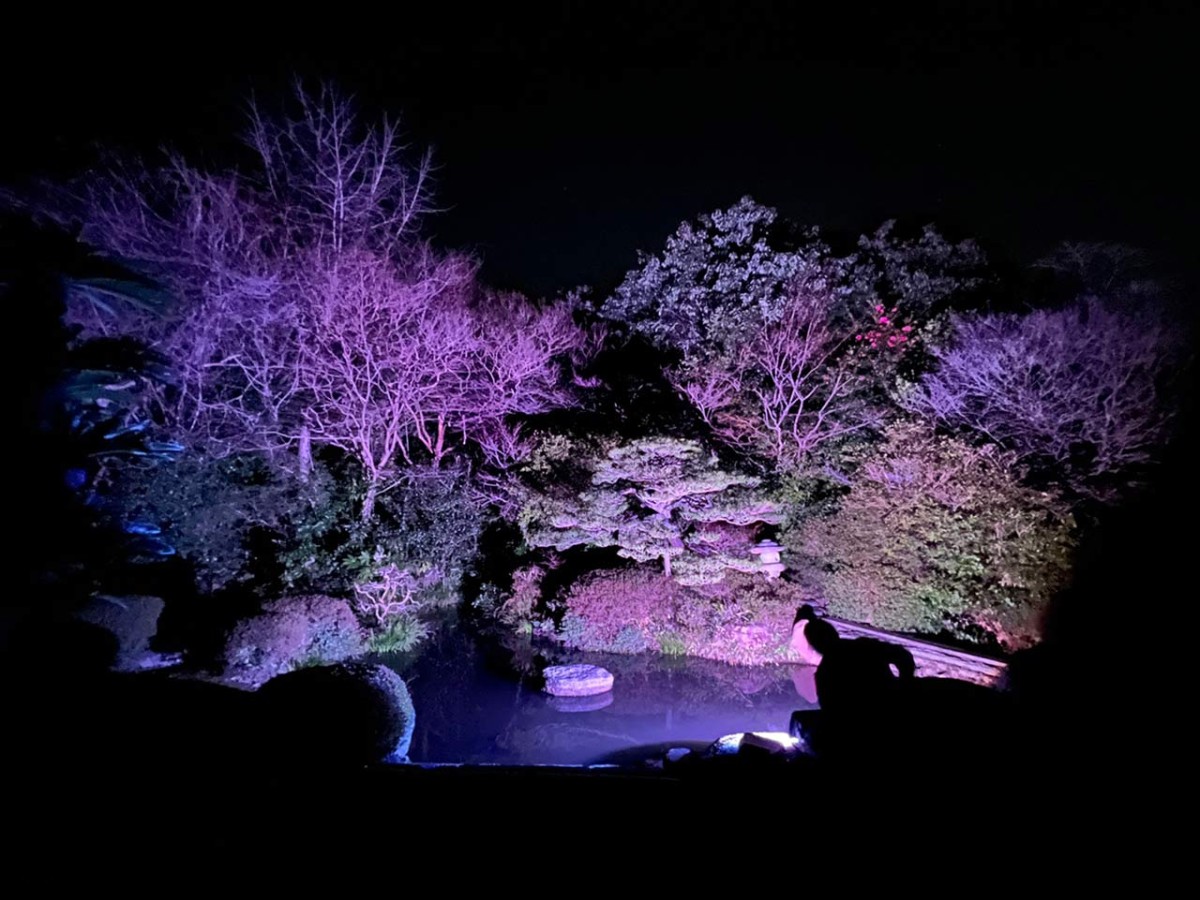 島根県松江市で行われる「夜間拝観イベント「ライティング月照寺」」の境内