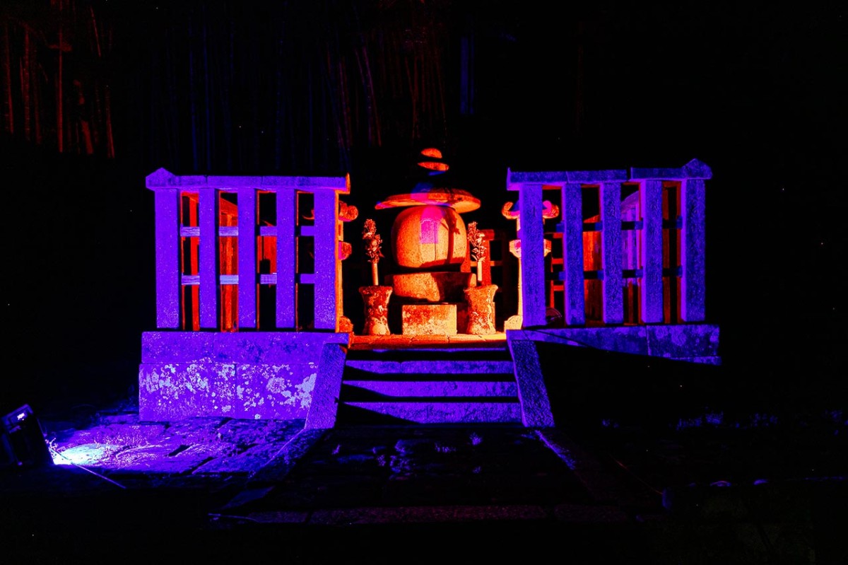 島根県松江市で行われる「夜間拝観イベント「ライティング月照寺」」の境内