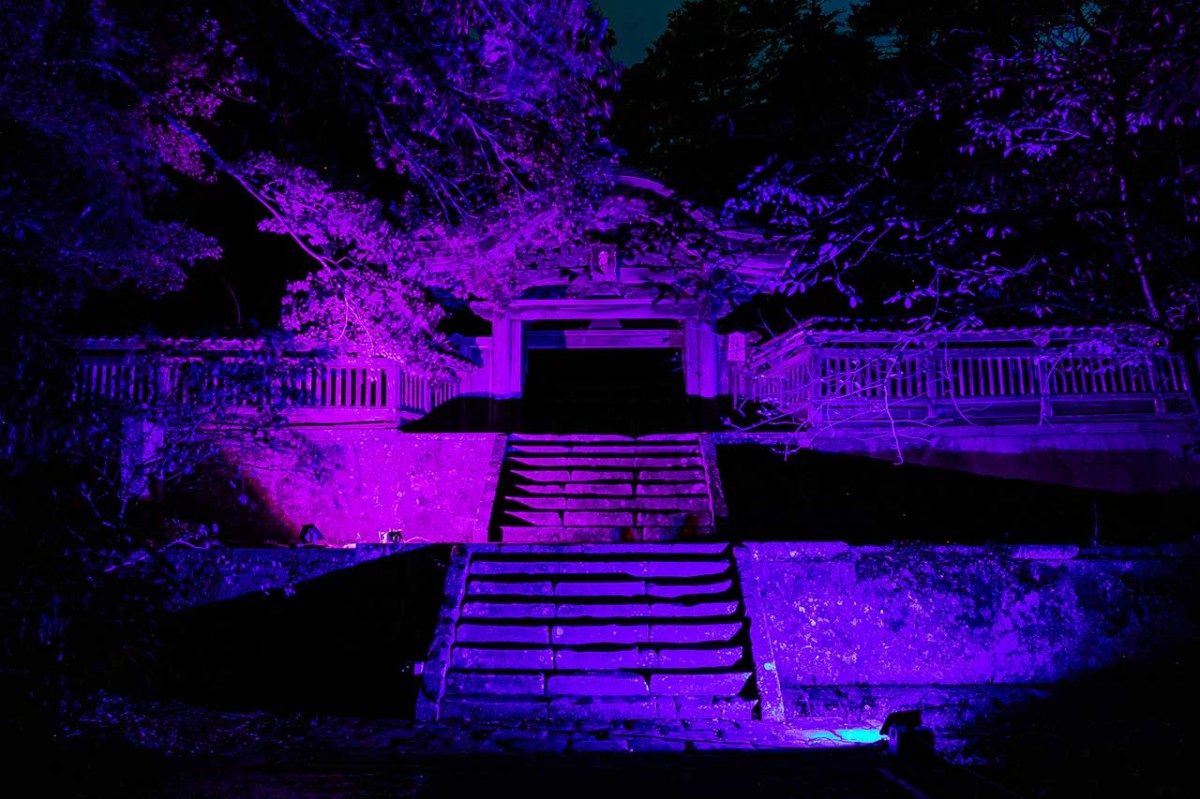 島根県松江市で行われる「夜間拝観イベント「ライティング月照寺」」の境内