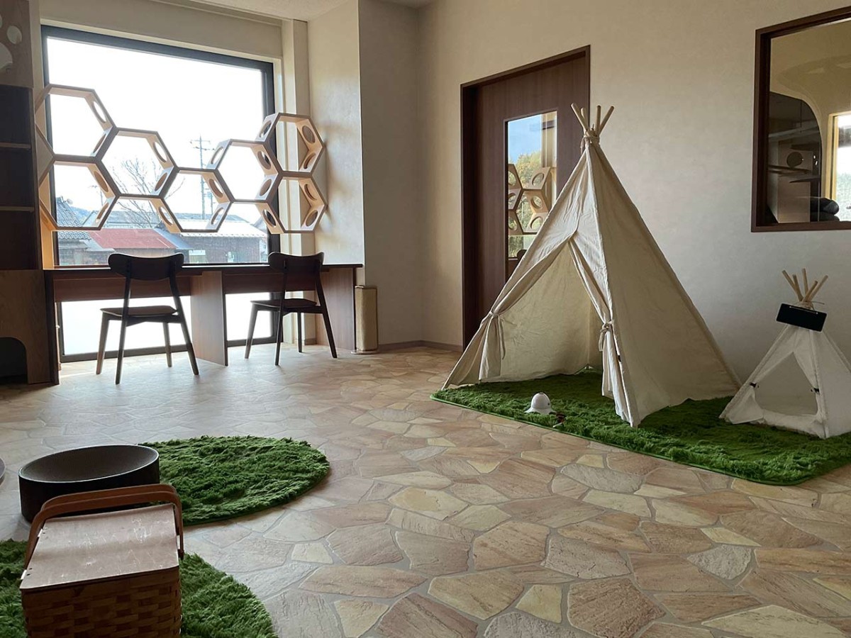 島根県松江市にオープンした『猫猫の森』のイメージ