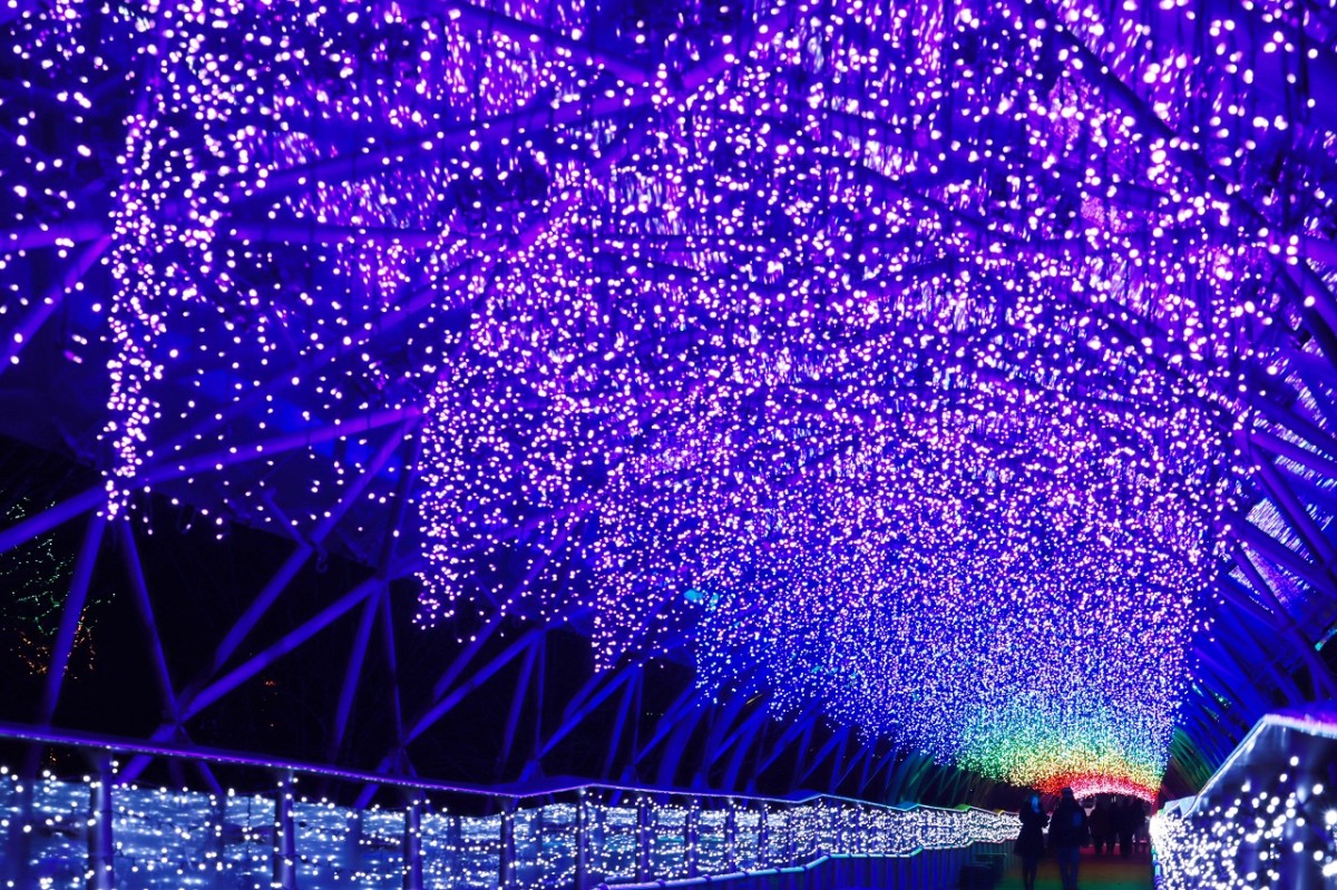 【米子・境港周辺】11/15(土)・16(日)のイベントまとめ『花回廊』のイルミネーション