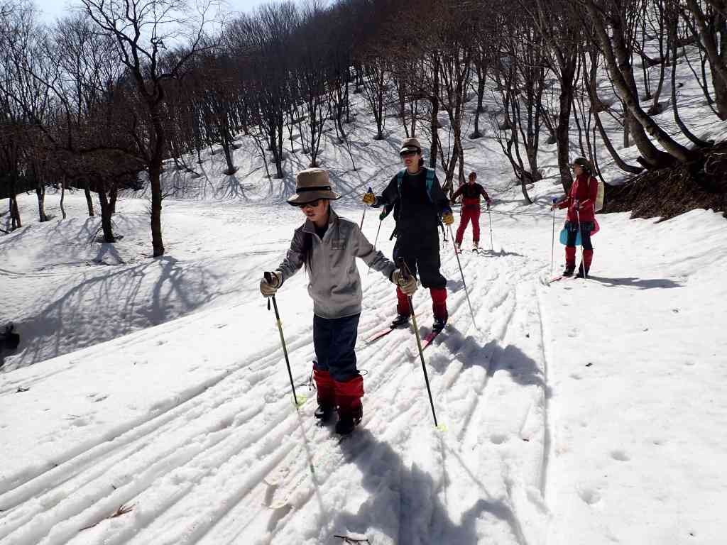 鳥取県八頭郡のイベント「【要予約】スキートレッキング「おためしスキートレッキング」」のイメージ
