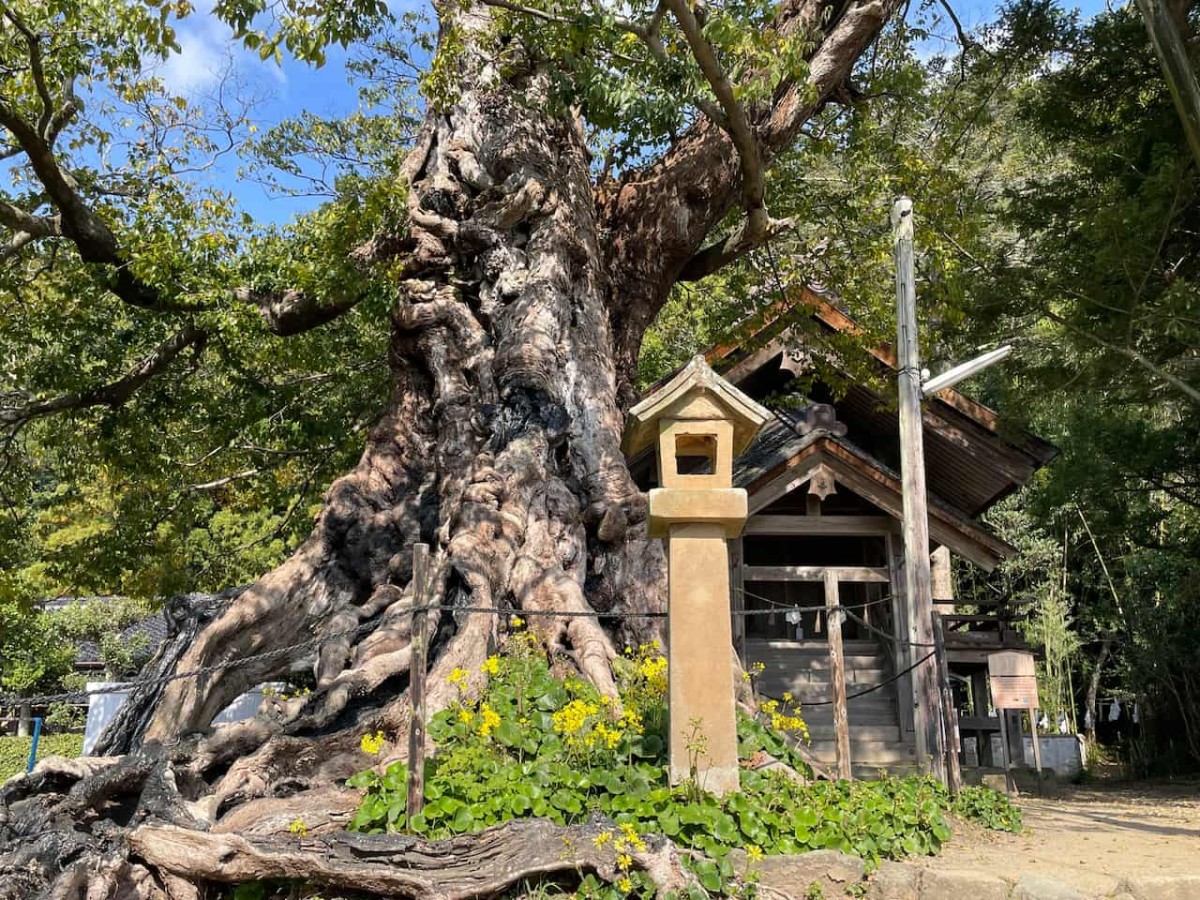 出雲市の『命主社』
