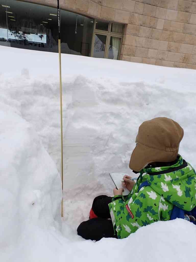 鳥取県八頭郡のイベント「【要予約】親子自然研究クラブ「冬の自然観察」のイメージ