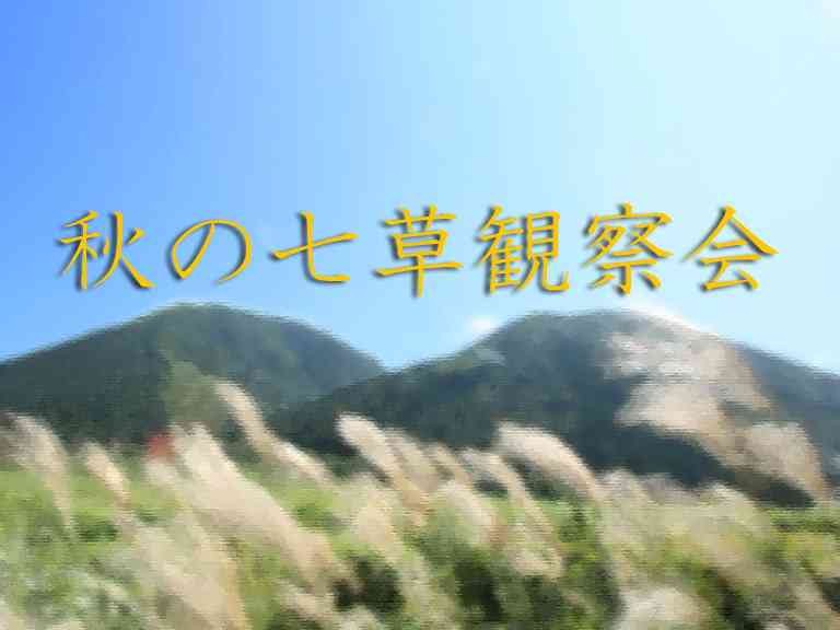 島根県大田市のイベント「【要予約】秋の七草観察会」のチラシ