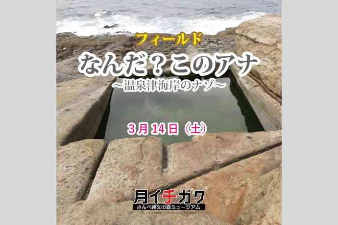 島根県大田市のイベント「【要予約】月イチガク『なんだ？このアナ～温泉津海岸のナゾ』」のチラシ
