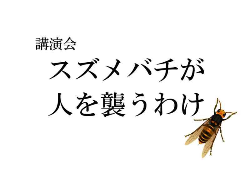 島根県大田市のイベント「【要予約】講演会「スズメバチが人を襲うわけ」」のイメージ