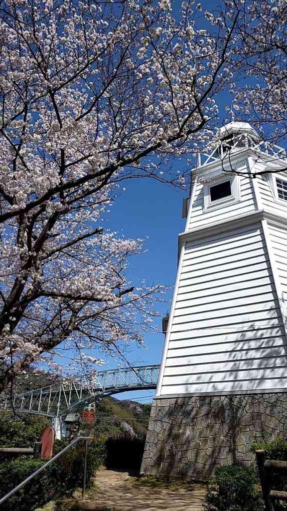 鳥取県境港市の桜・お花見イベント「境台場公園桜まつり」のチラシ