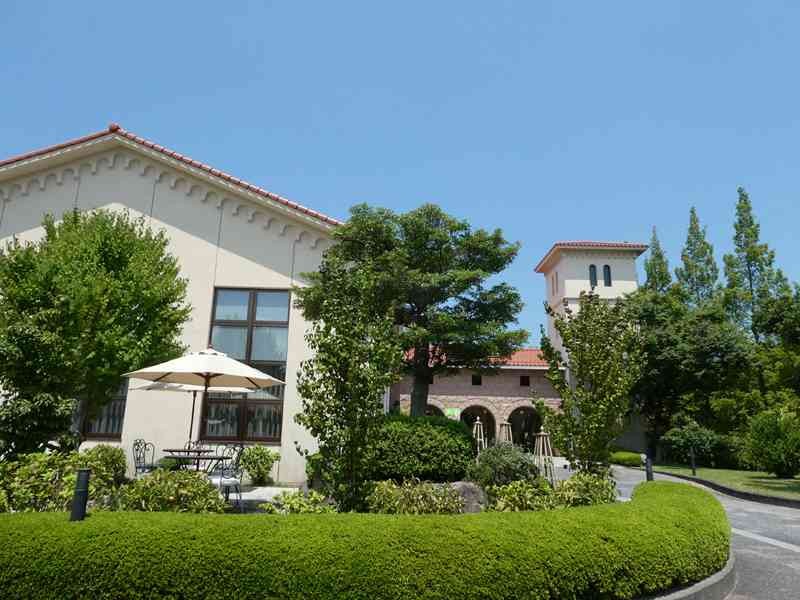 島根県浜田市のイベント「【ギャラリー展】開館25周年記念展 石本正と石正美術館」のイメージ