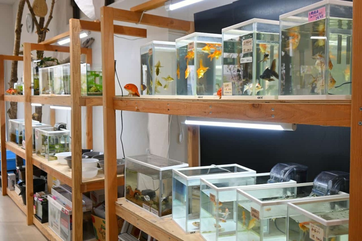 鳥取県米子市にある『元町水族館びおっと』の内観