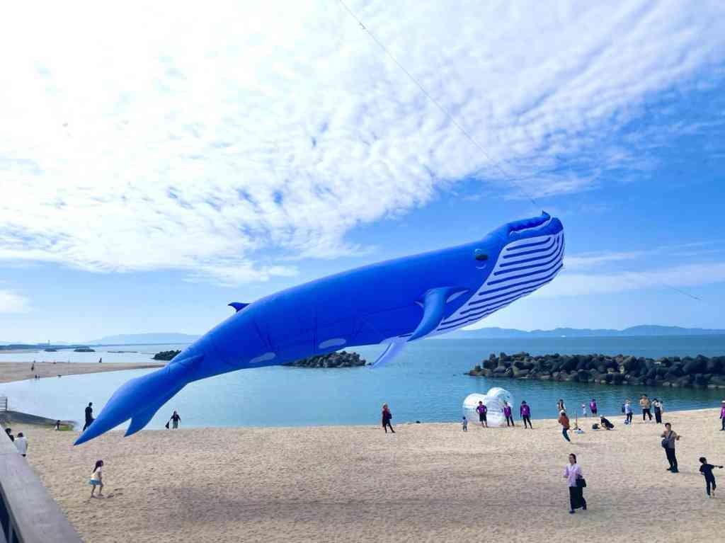 鳥取県米子市のイベント「カイケジャンボリー６」のイメージ