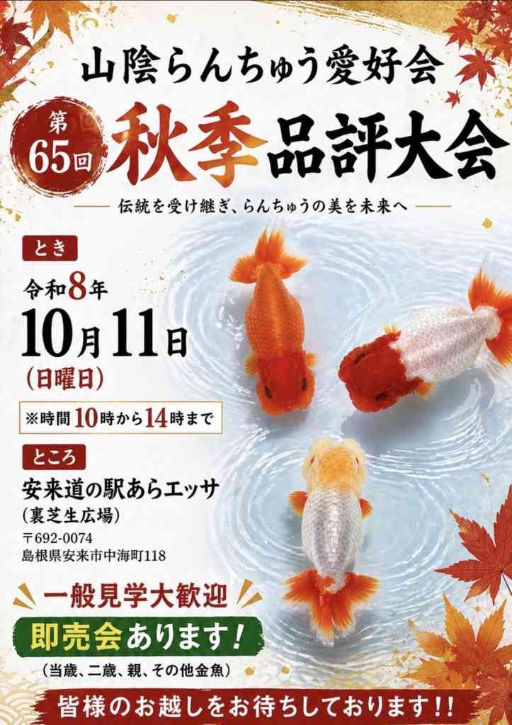 島根県安来市のイベント「山陰らんちゅう愛好会　第65回秋季品評大会」のチラシ