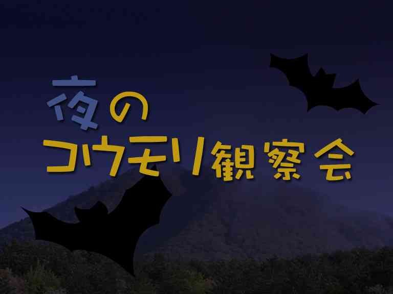 島根県大田市のイベント「【要予約】夜のコウモリ観察会」のチラシ