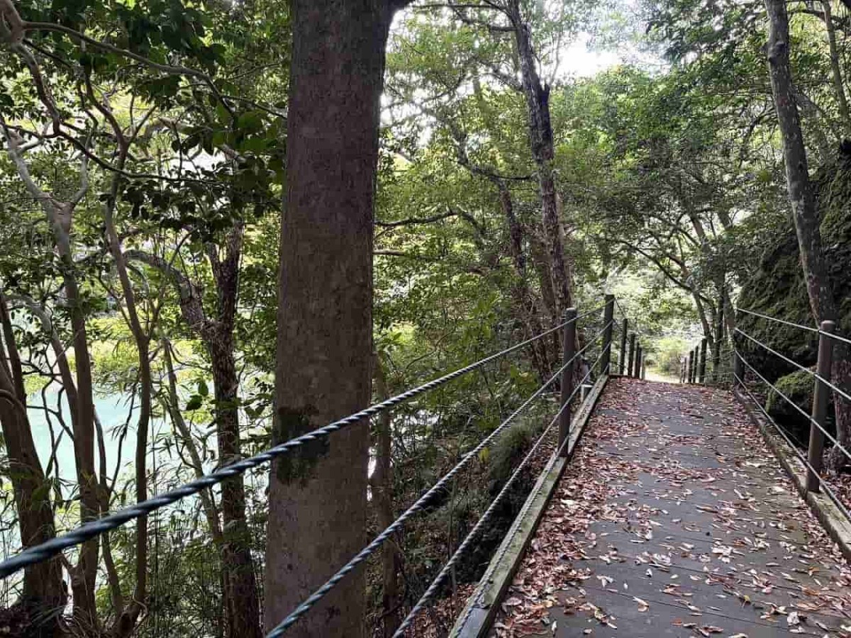 島根県出雲市にある『立久恵峡』の遊歩道
