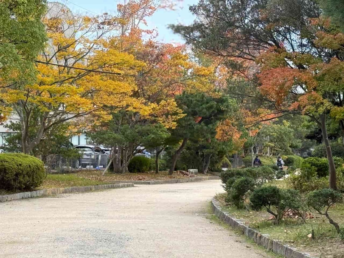 鳥取県米子市にある『湊山公園』の紅葉の様子