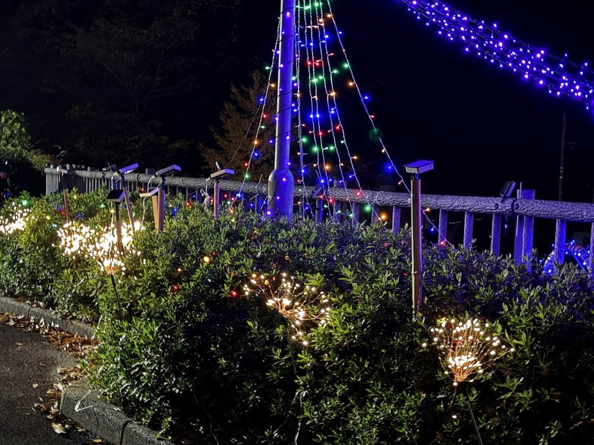 島根県松江市にある『松江養護学校寄宿舎』で開催中のイルミネーション