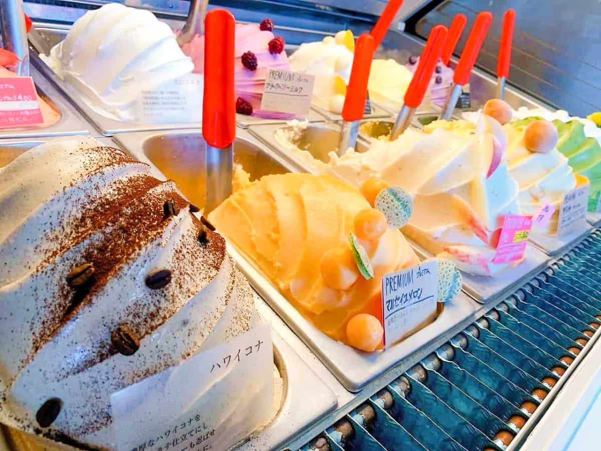 鳥取県東伯郡湯梨浜町にある『アロハカフェ』で販売しているジェラート