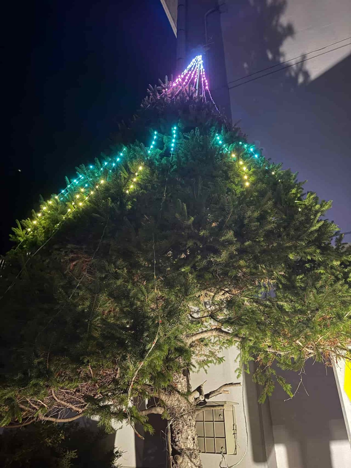 島根県松江市『東出雲体育館』前にある「交通安全クリスマスツリー」