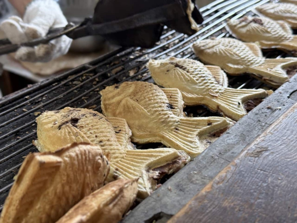 鳥取県米子市にある『紅茶とたい焼き甘党の店 あんあん』のたい焼き