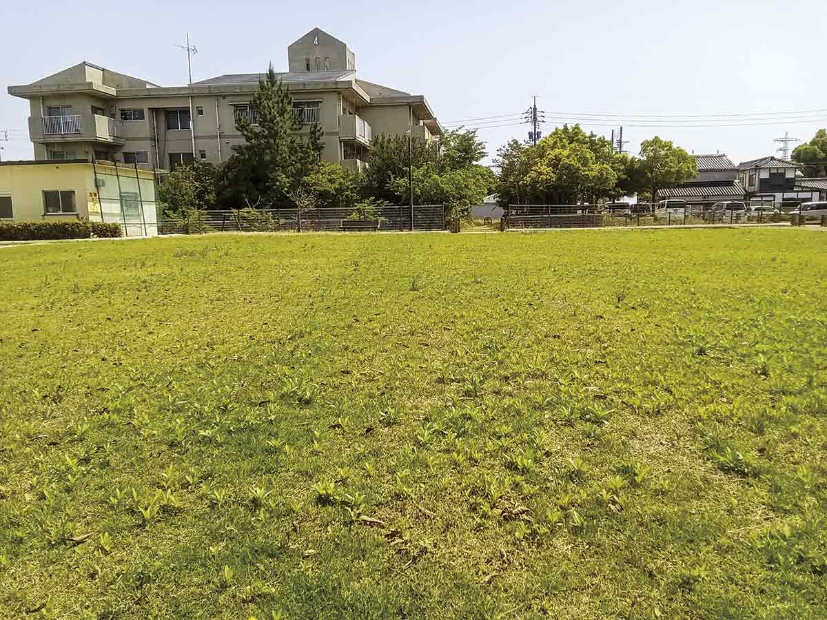 境港市「三光株式会社」の事業風景