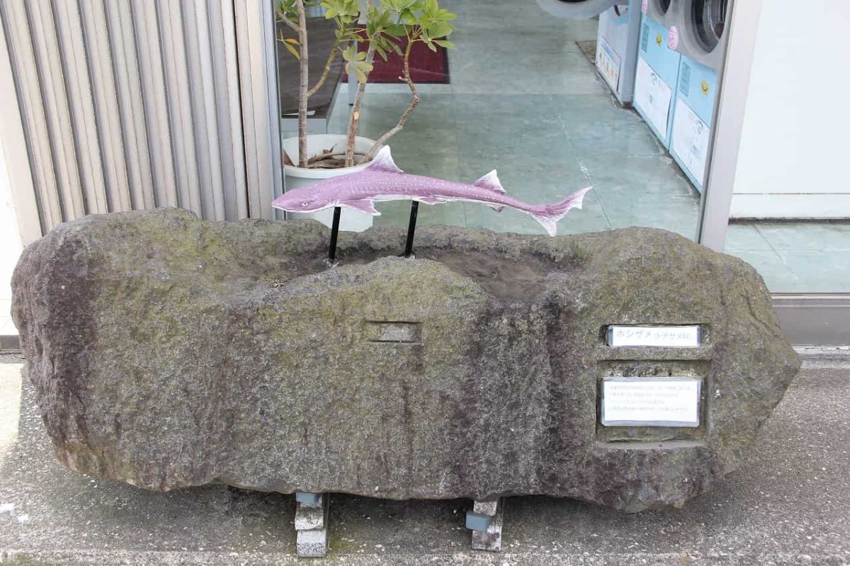 鳥取県境港市にある「おさかなロード」にあるコインランドリー前にあるサメのオブジェ