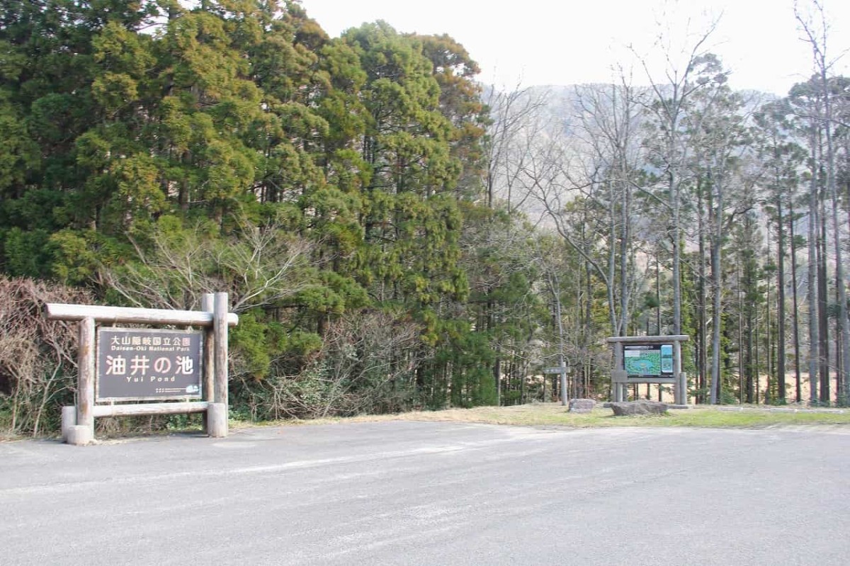 島根県隠岐郡で開催された『すいせん祭り』の旧会場「油井の池駐車場」の様子