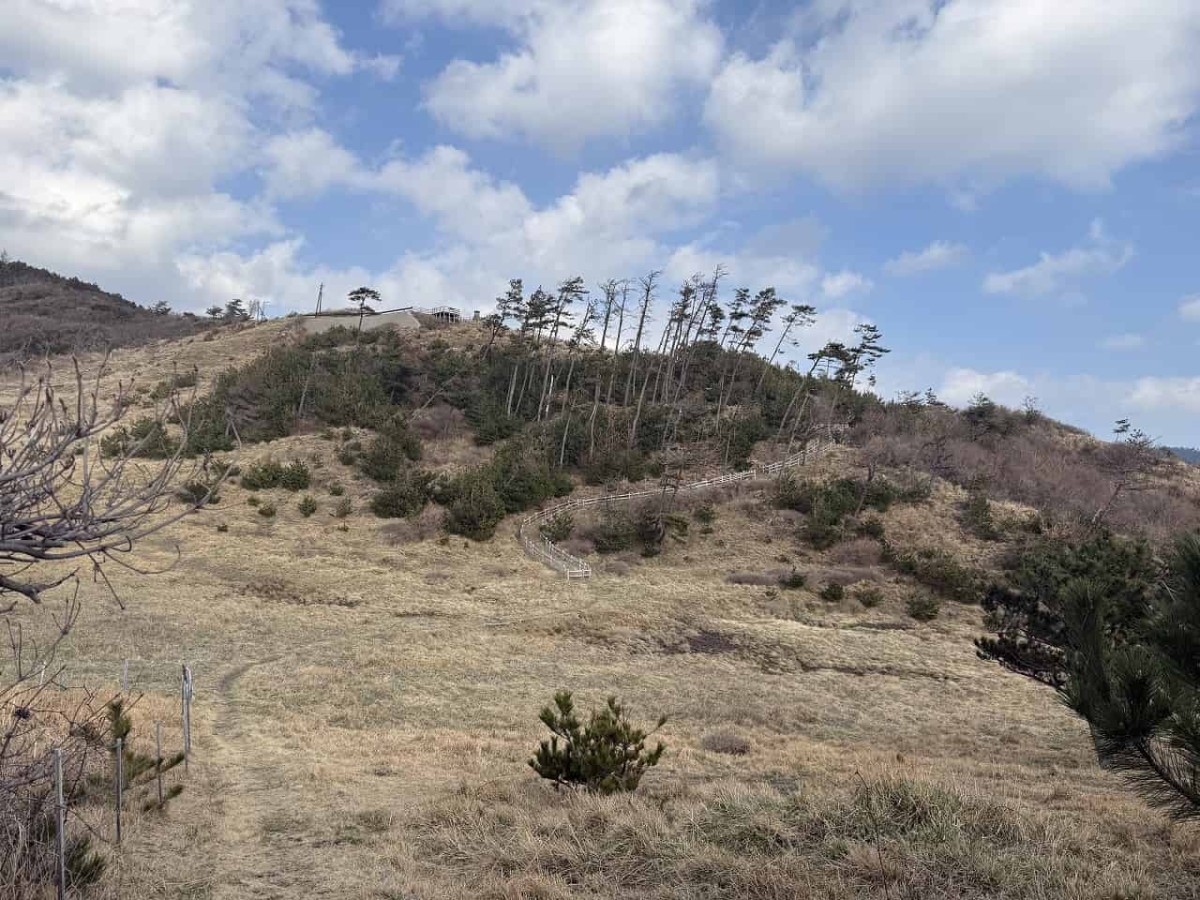 島根県隠岐郡隠岐の島町にある『那久岬』の灯台側から見た景色