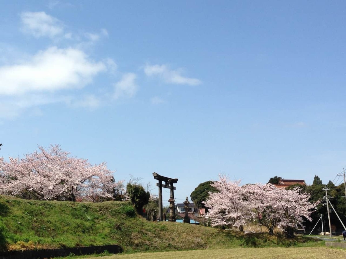 島根県大田市にあるベーカリー『パン工房ドルチェ・ビータ』の近くにある花見スポット『刺鹿神社』