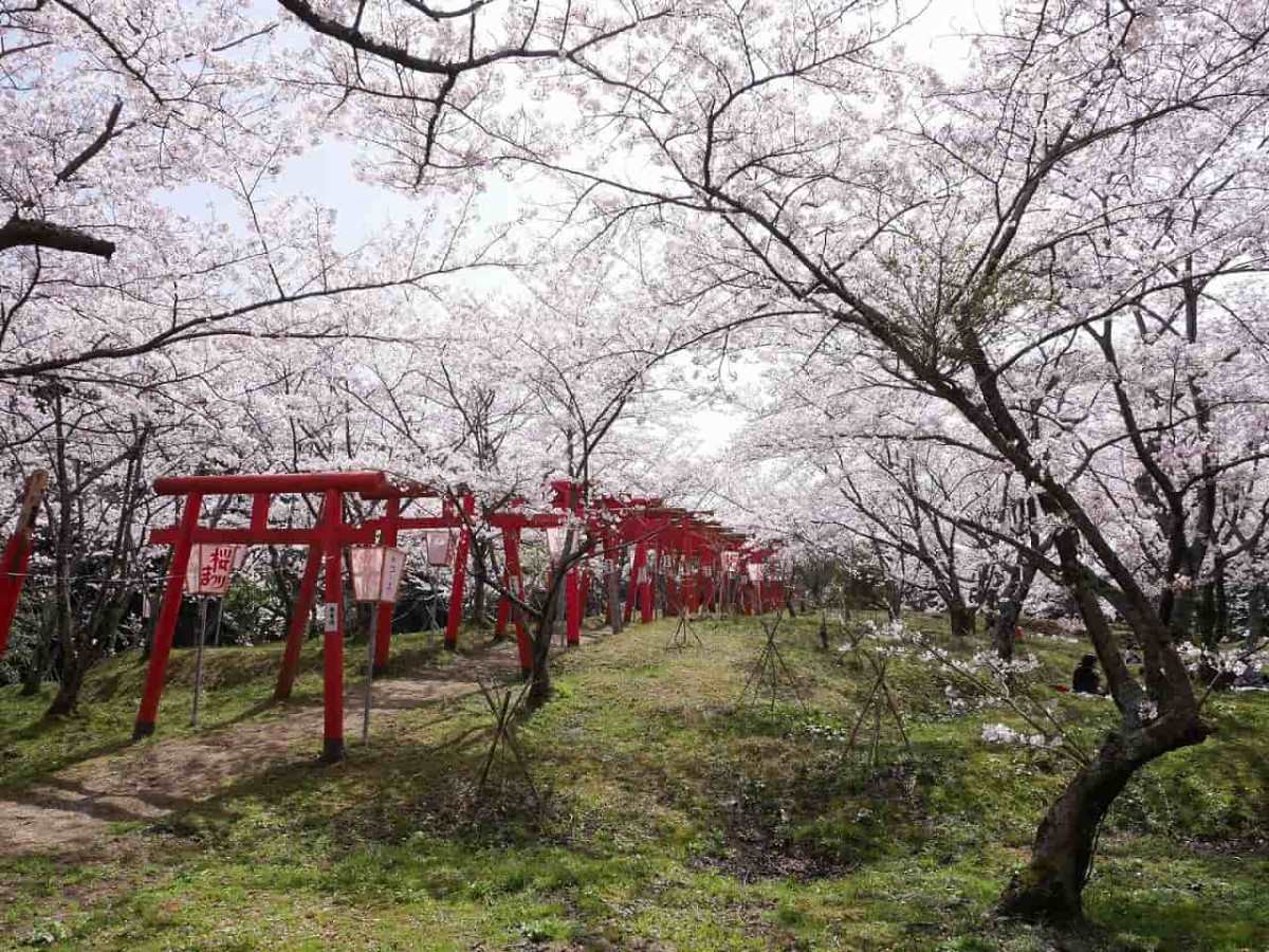 島根県大田市にあるベーカリー『パン工房ドルチェ・ビータ』の近くにある花見スポット『刺鹿神社』