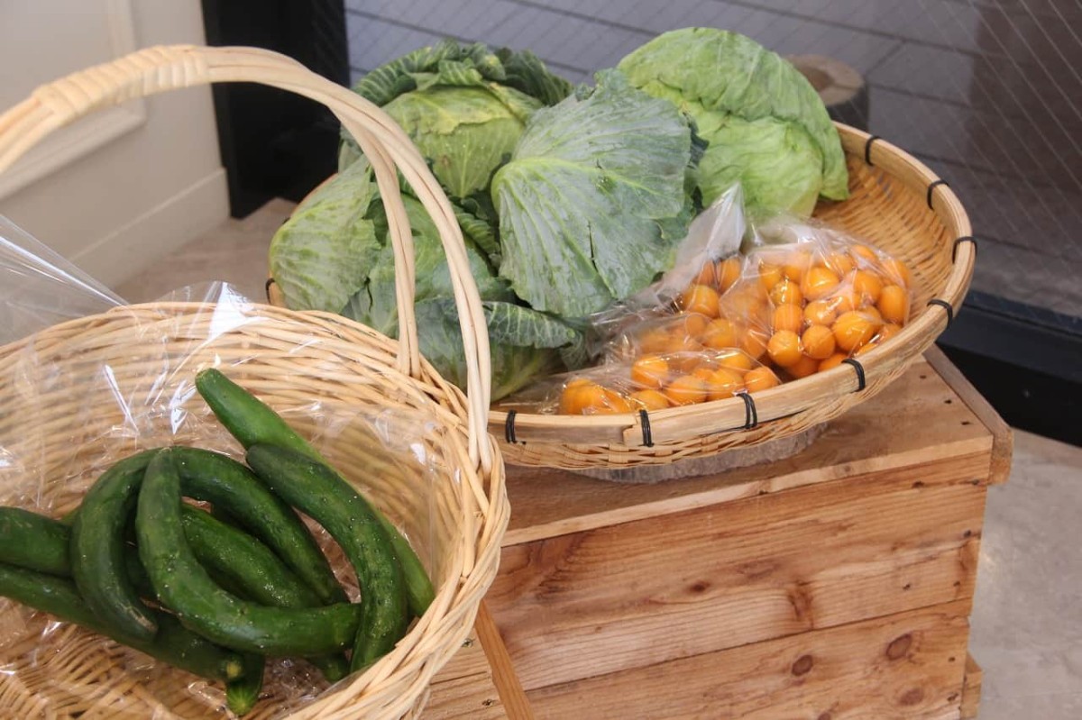 島根県松江市にある『cafeCONNECT.』で販売している無農薬野菜