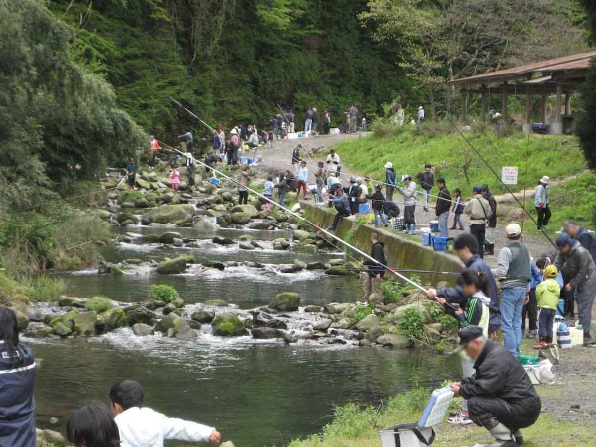 鳥取県倉吉市にある『清流遊YOU村』での釣りの様子