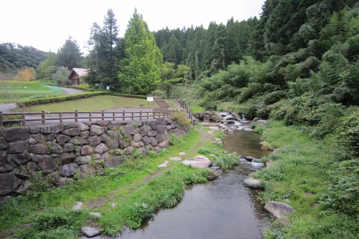鳥取県西伯郡伯耆町にある『マウンテンストリームきしもと』の川の様子