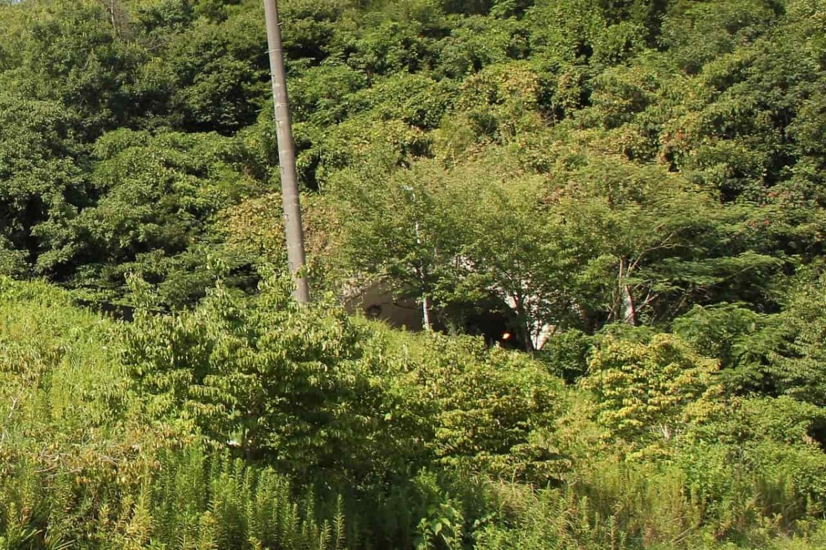 島根県松江市にある『十二所神社』への道中