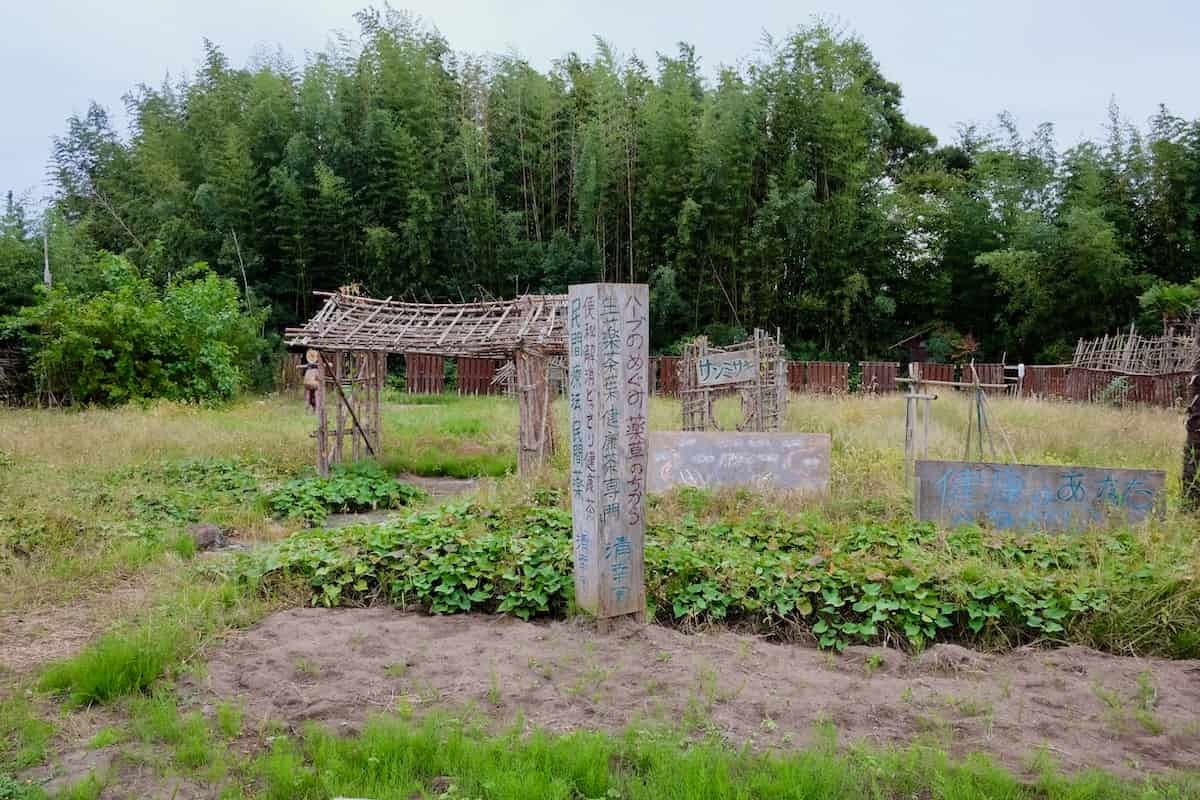 鳥取県境港市の手づくり健康茶『サンミサキ』の外観