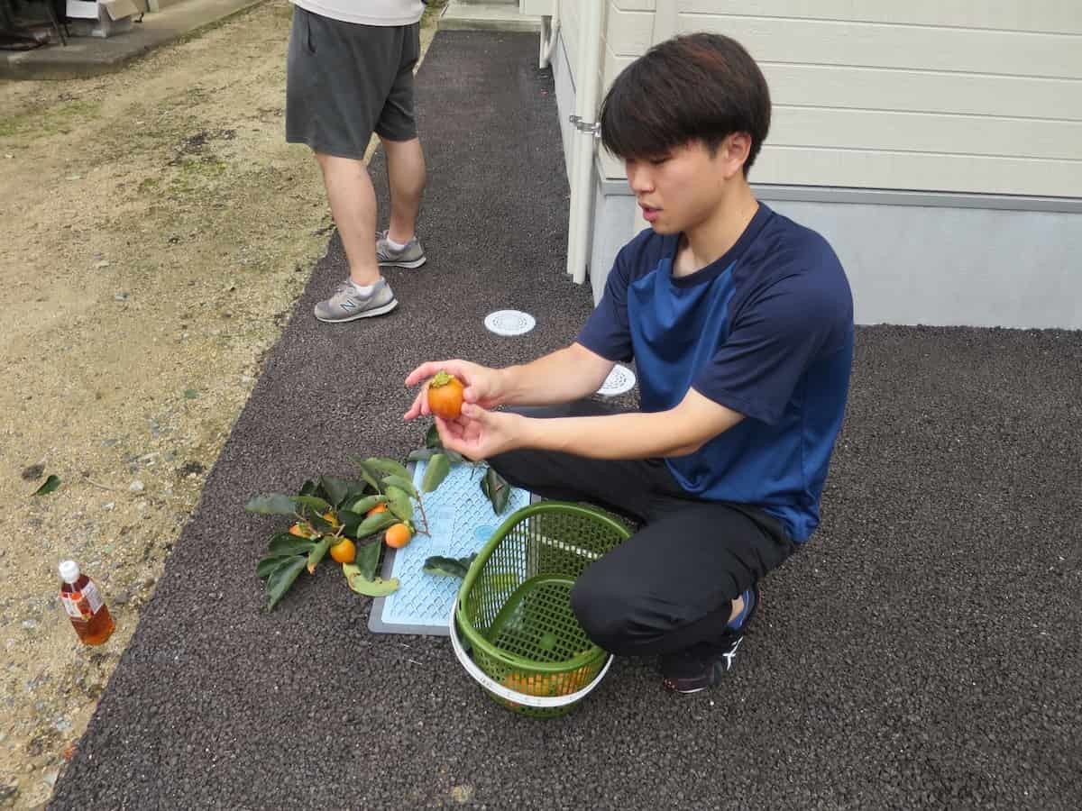 島根県鹿足郡津和野町で開催された「津和野とんぎりプロジェクト」の様子