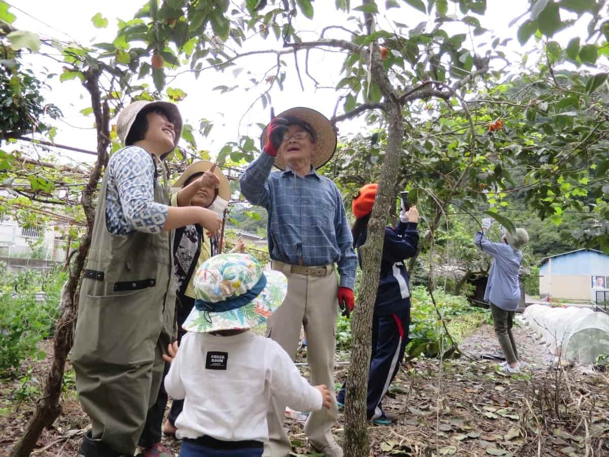 島根県鹿足郡津和野町で開催された「津和野とんぎりプロジェクト」の様子