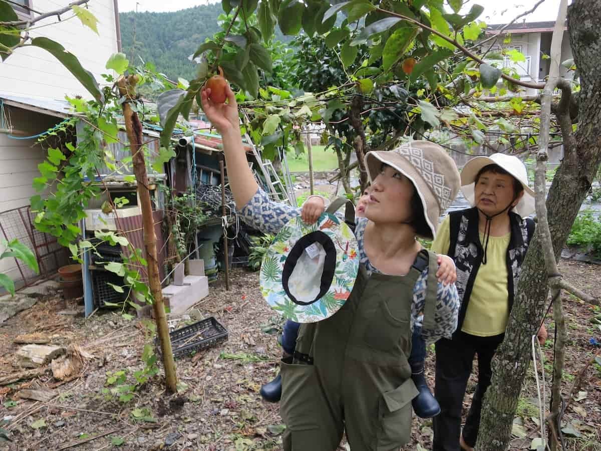 島根県鹿足郡津和野町で開催された「津和野とんぎりプロジェクト」の様子