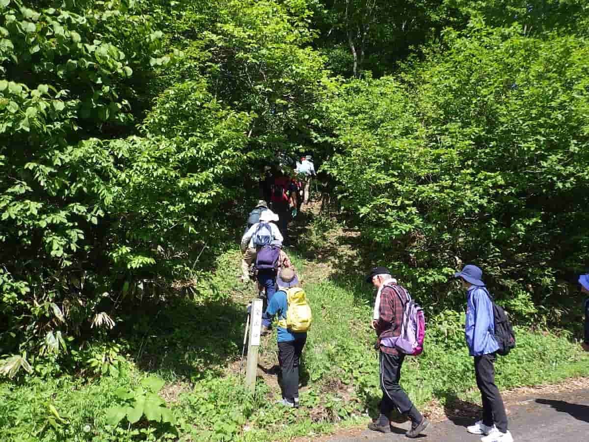 「県民の森ふれあい講座」の登山の様子