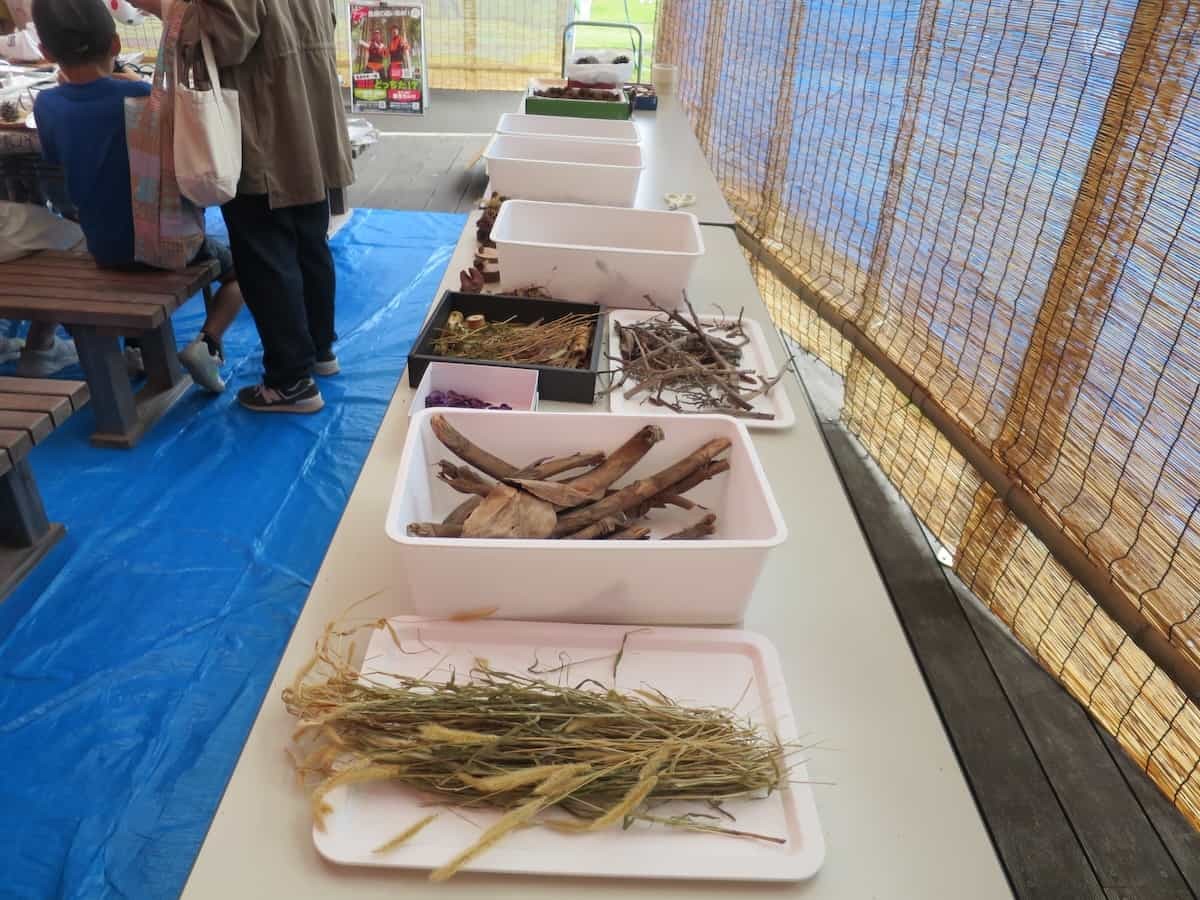 しまね花の郷で開催された「森づくりプチ体験イベント」の様子