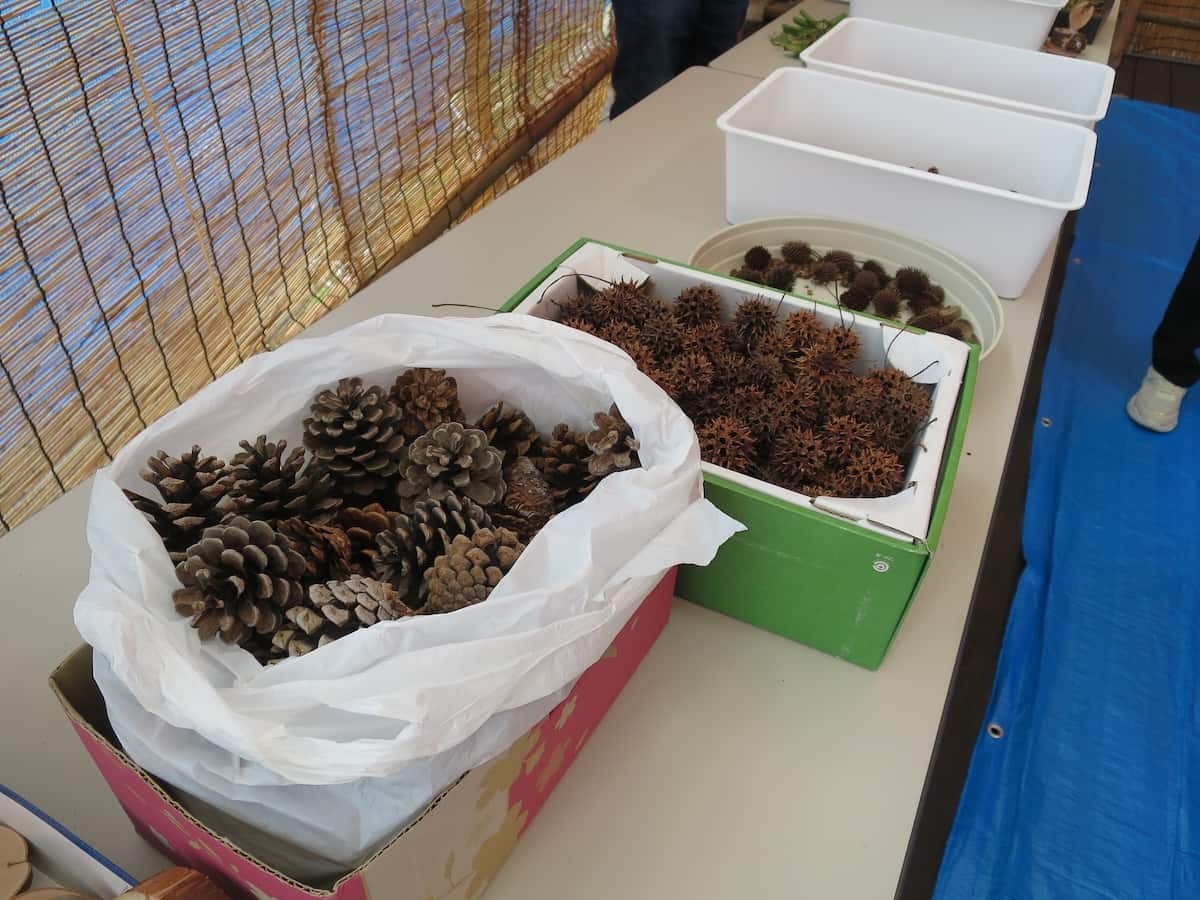 しまね花の郷で開催された「森づくりプチ体験イベント」の様子