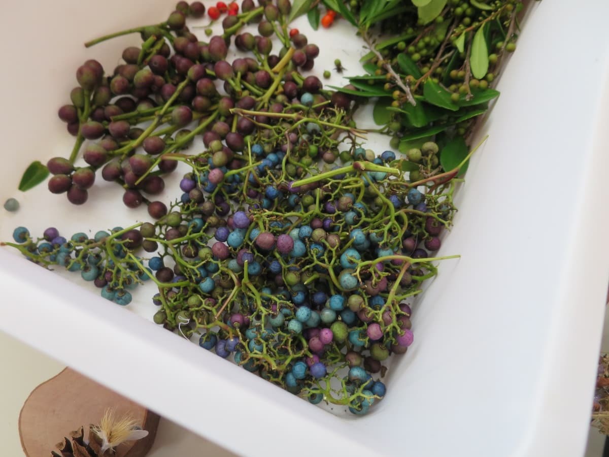 しまね花の郷で開催された「森づくりプチ体験イベント」の様子