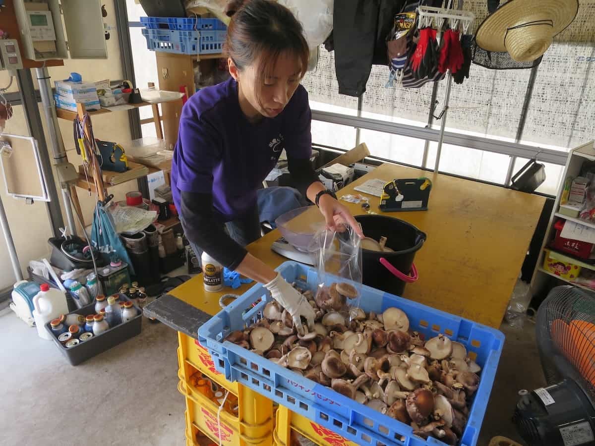 島根県出雲市にある『もっちゃんFARM』のスタッフさん