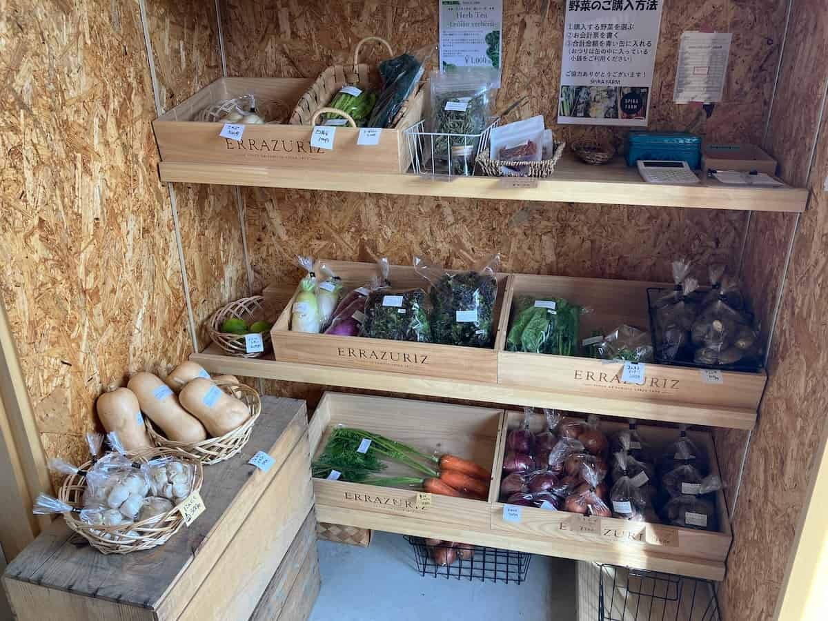 島根県出雲市『SPIRA FARM』の内観