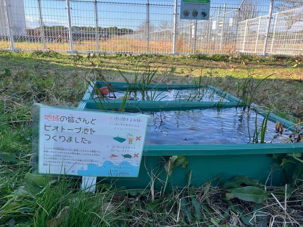 鳥取県米子市『とっとり自然環境館』にあるビオトープ池