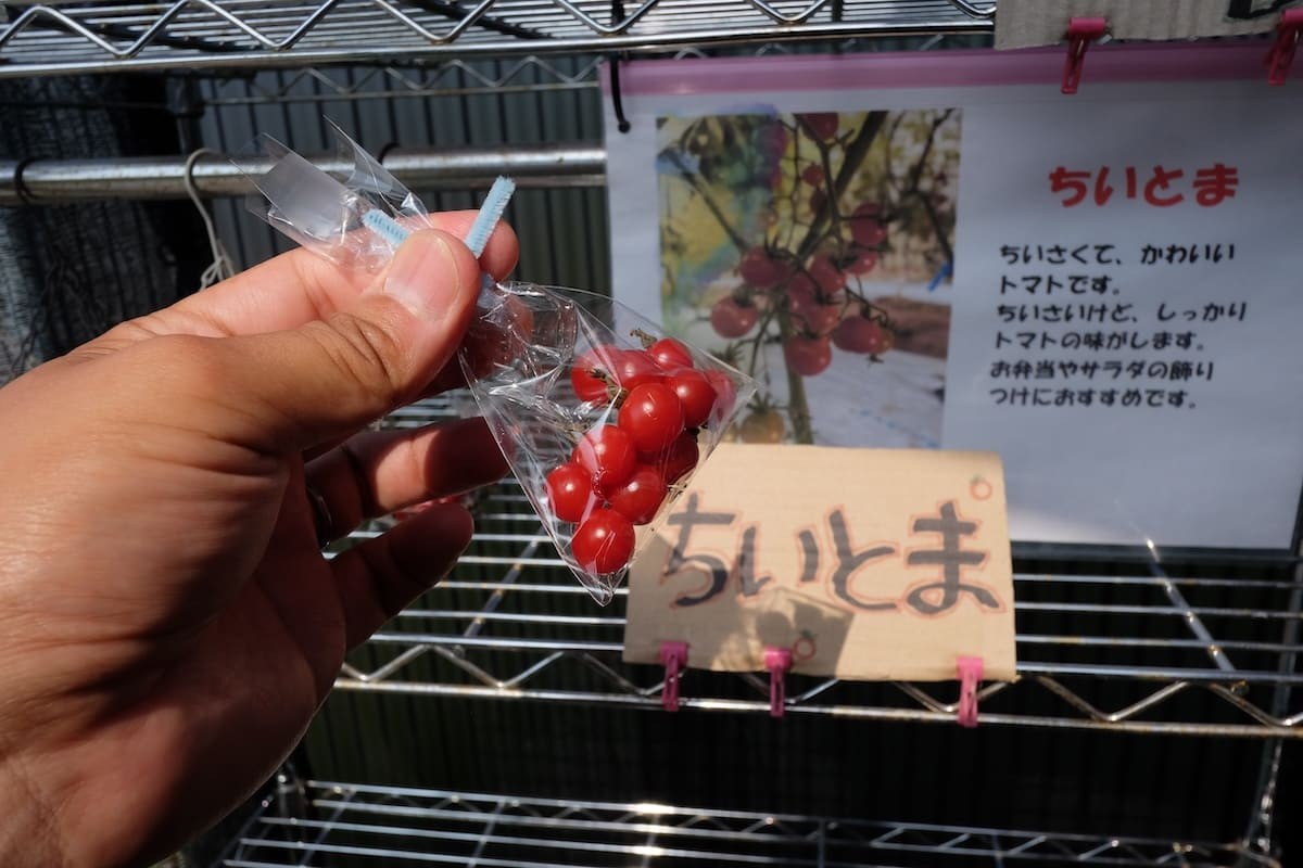 鳥取県境港市芝町にある野菜直売所のトマト