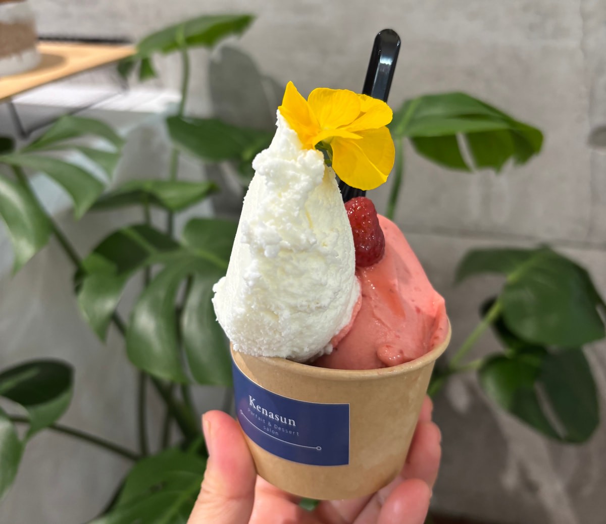 島根県松江市のスイーツ店『Kenasun』の「ジェラート」
